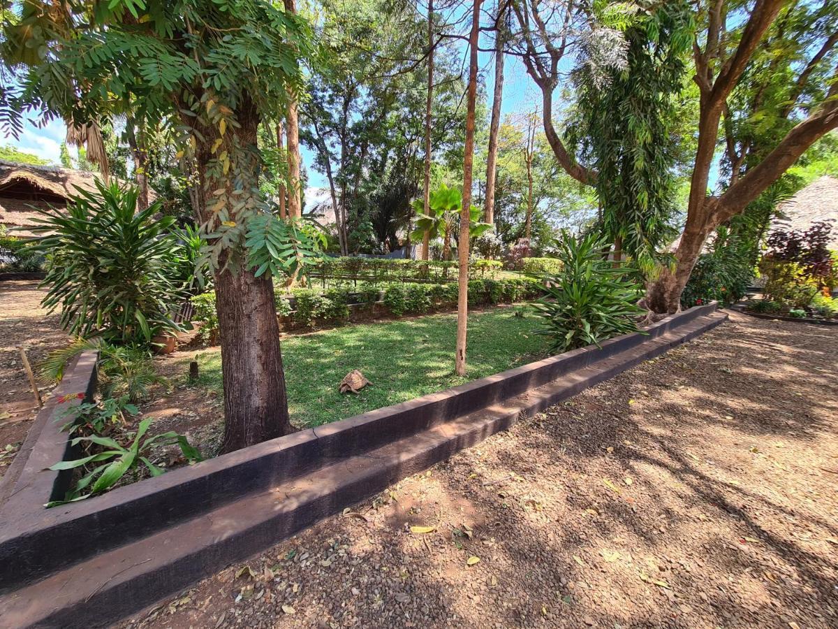 מושי Honey Badger Lodge מראה חיצוני תמונה