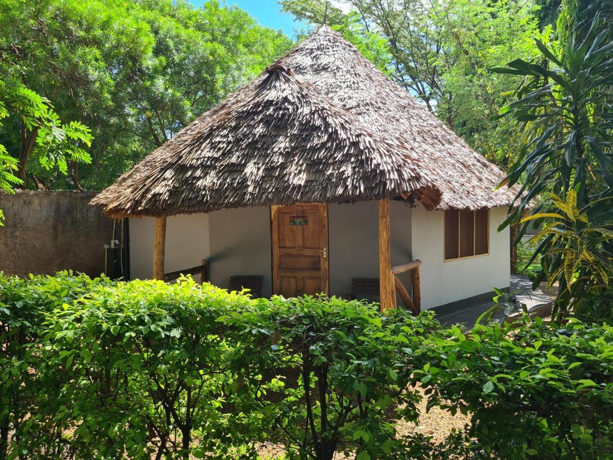 מושי Honey Badger Lodge מראה חיצוני תמונה