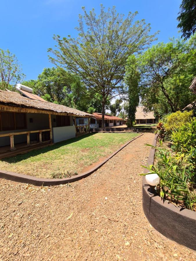 מושי Honey Badger Lodge מראה חיצוני תמונה
